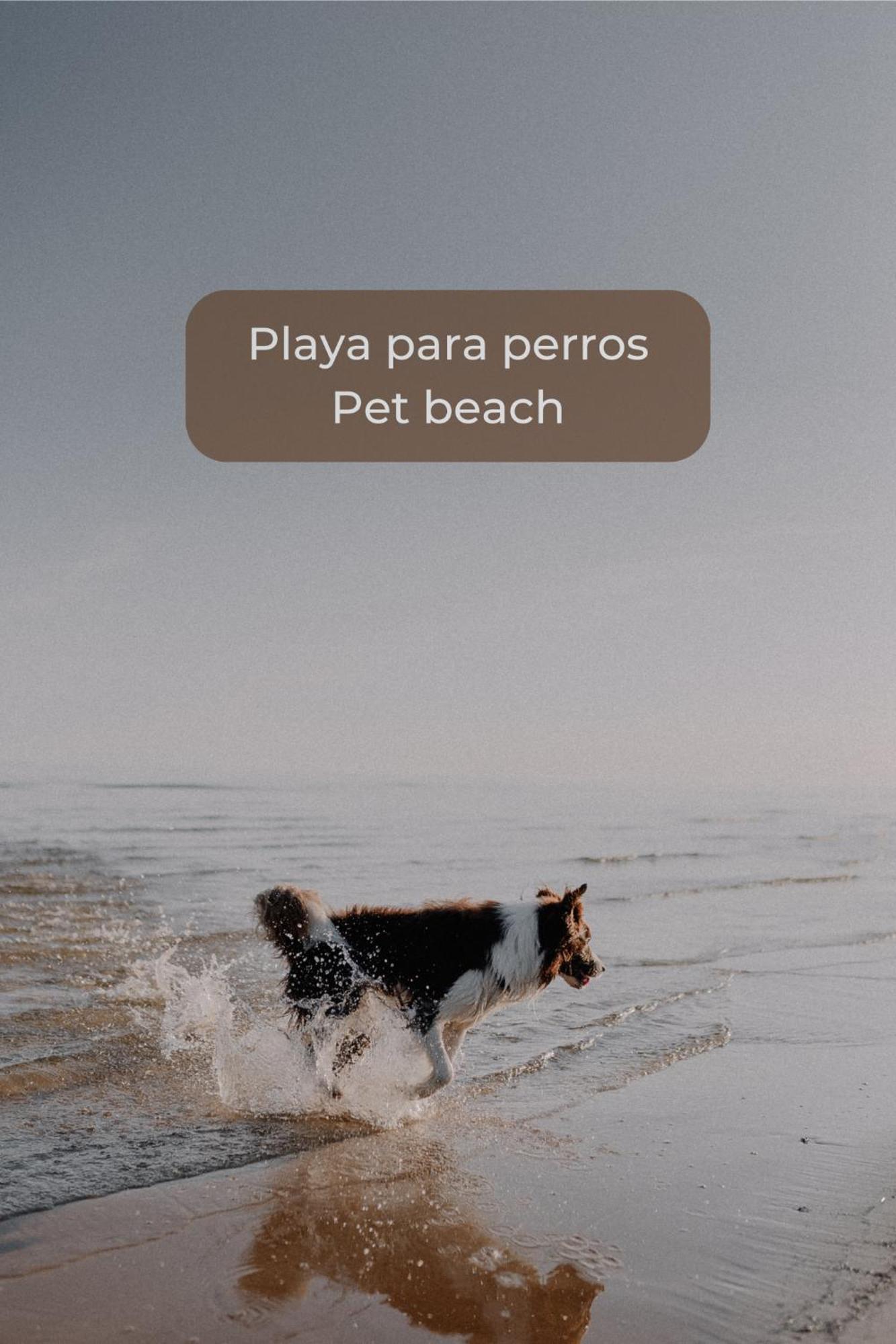 דירות Cotillo Kiwi Smoothie - En La Playa, Doble Terraza, Cocina Completa, Dos Camas Y Wifi מראה חיצוני תמונה